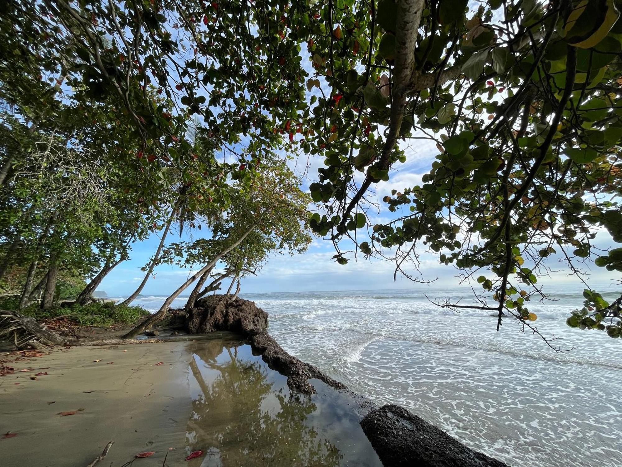 Namu Garden Hotel & Spa (Adults Only) Puerto Viejo de Talamanca エクステリア 写真