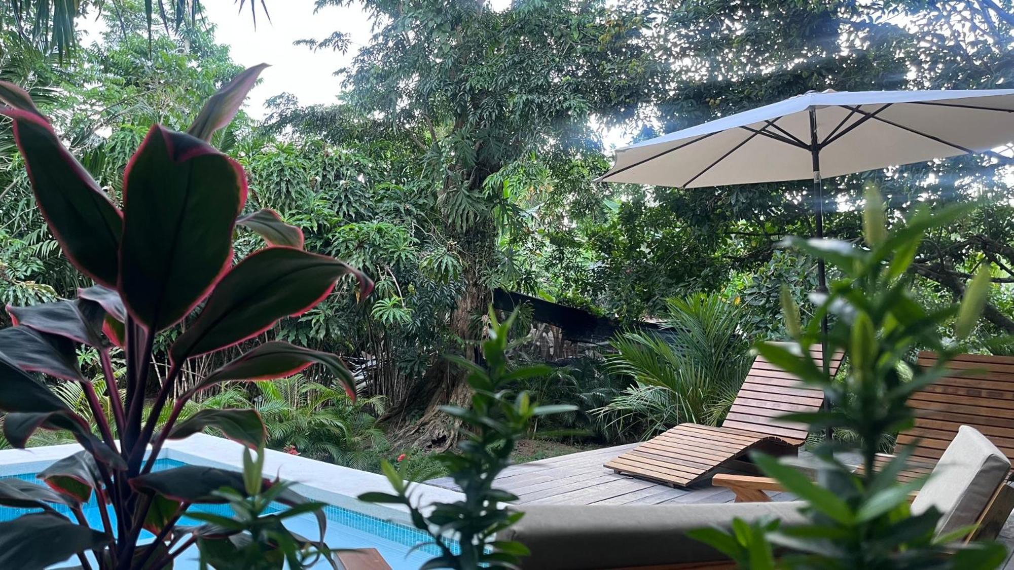 Namu Garden Hotel & Spa (Adults Only) Puerto Viejo de Talamanca エクステリア 写真